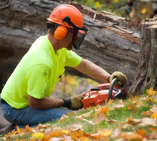 tree services Elkton